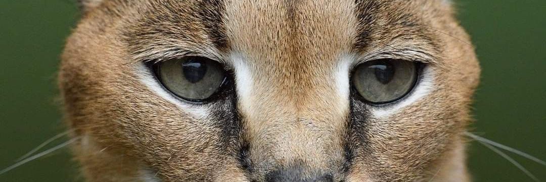 Maria ladelbarrio banner