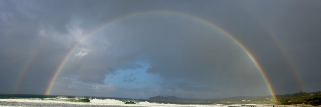 Jeffrey Stern banner