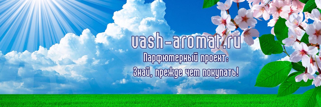 VashAromat's profile banner image