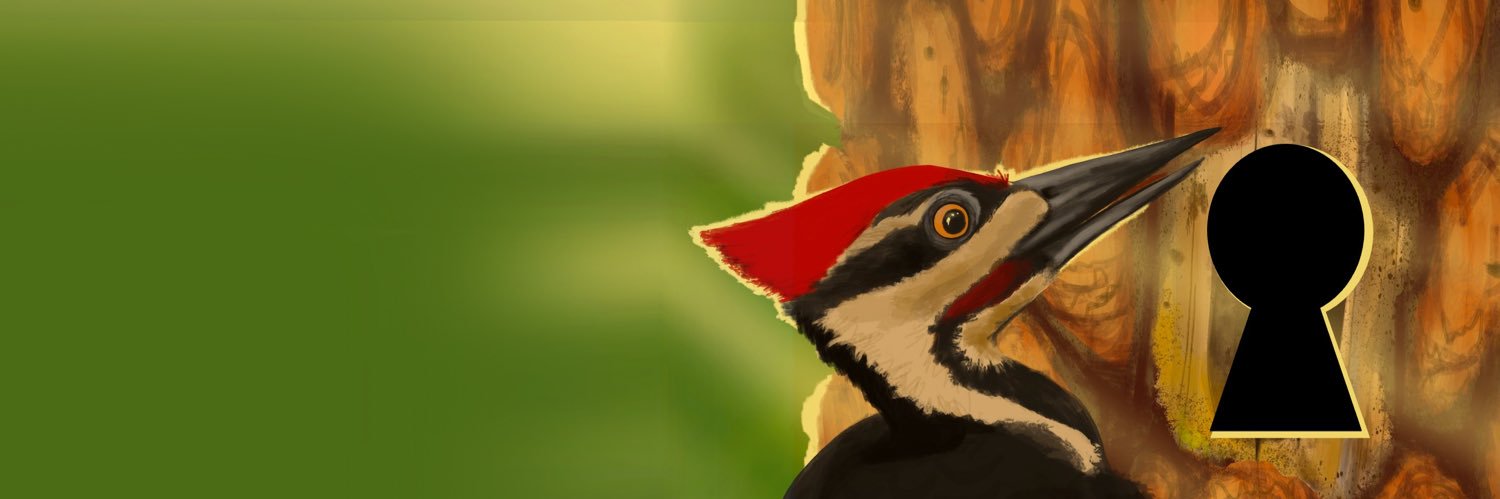 jessmstitt's profile banner image
