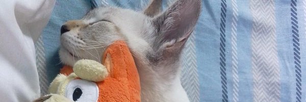 Sly_uva28 Profile Banner