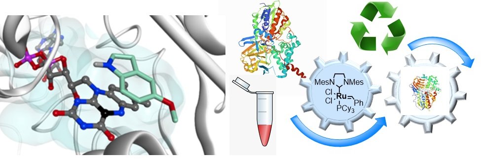 Castagnolo Group @UCL banner