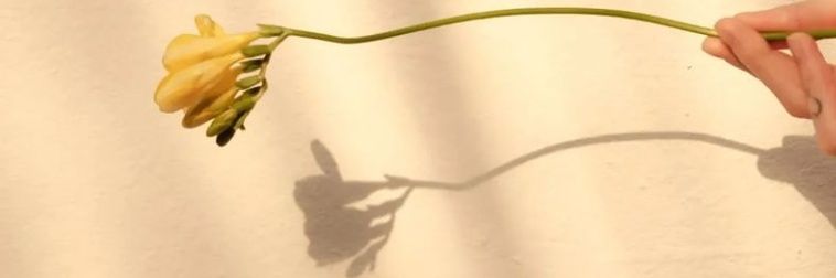 evernever66's profile banner image