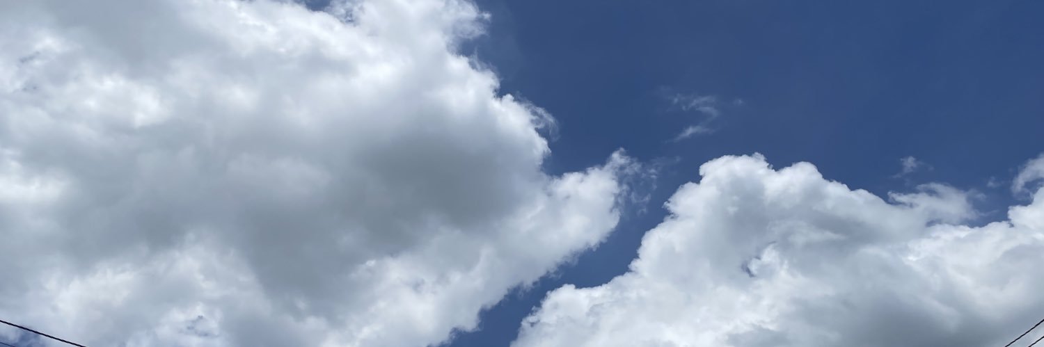 C. banner