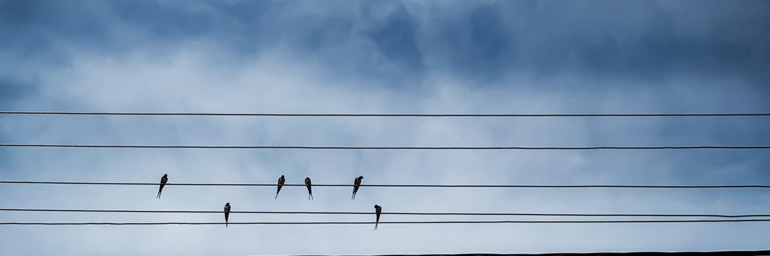 Gitane Reveilleau banner