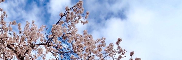 Ai_Tominaga Profile Banner