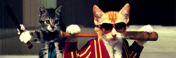 Botts_nft Profile Banner