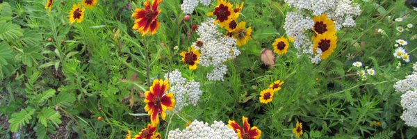 stoptheride2020 Profile Banner