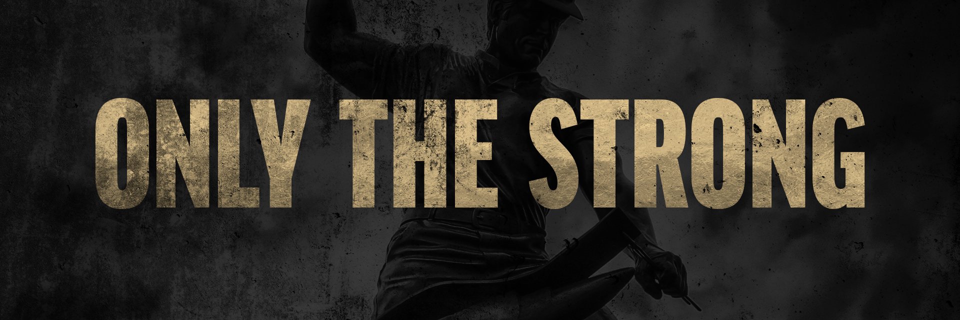 PurduePete's profile banner image