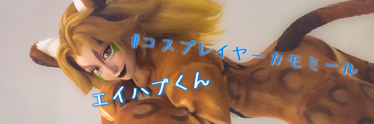 necocaos's profile banner image