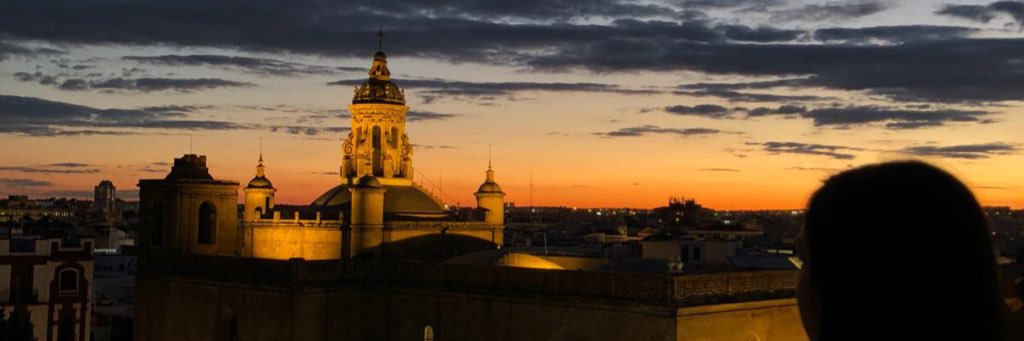 carolquevedom's profile banner image