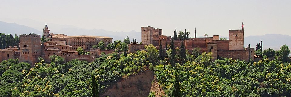 Partal 📈📉 banner