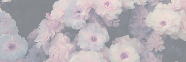 Nosoyedwin's profile banner image
