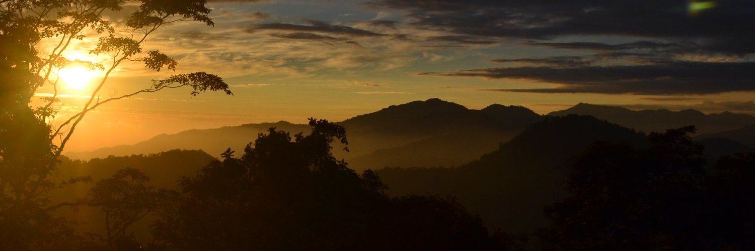 arceliamaya's profile banner image
