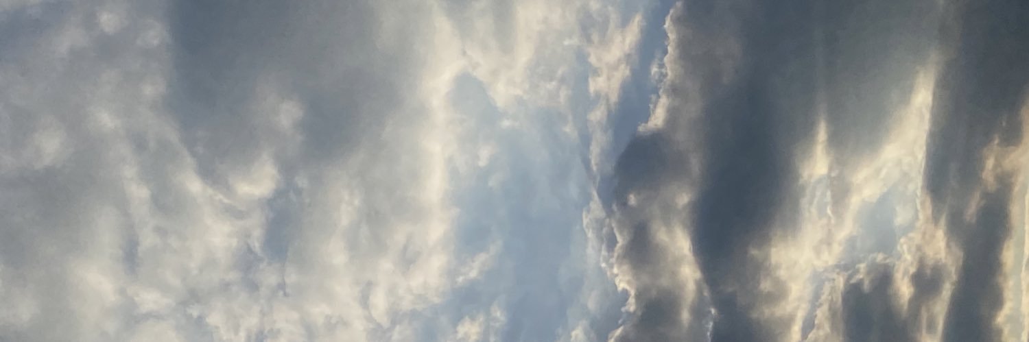 F r a n k F e r r e r banner