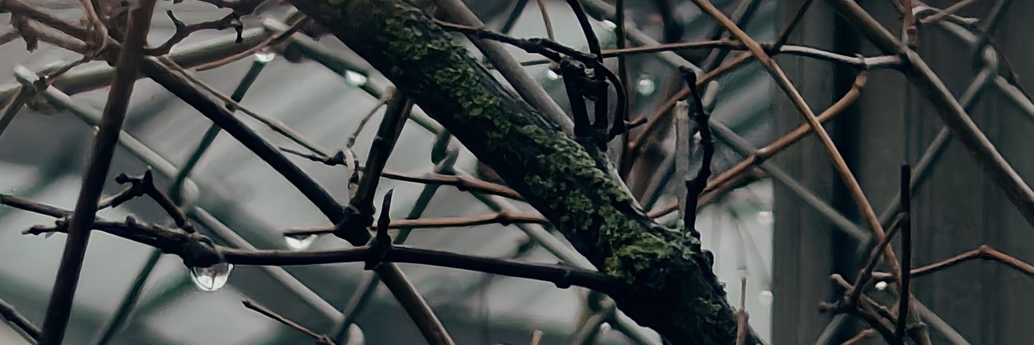 Tali_Gerbert 🎗️ banner