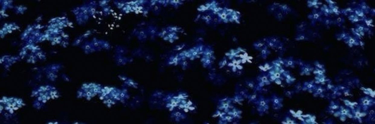 sarah's banner