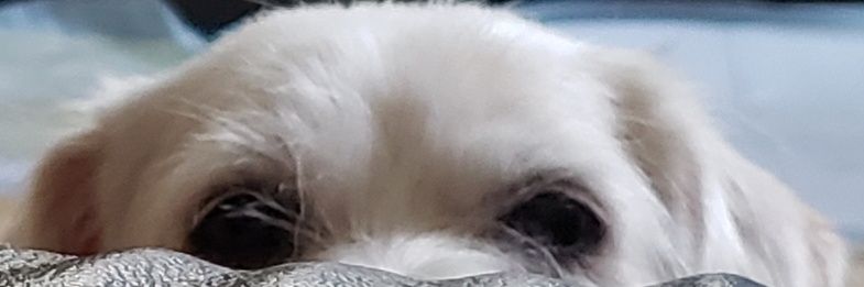 witchesburning's profile banner image