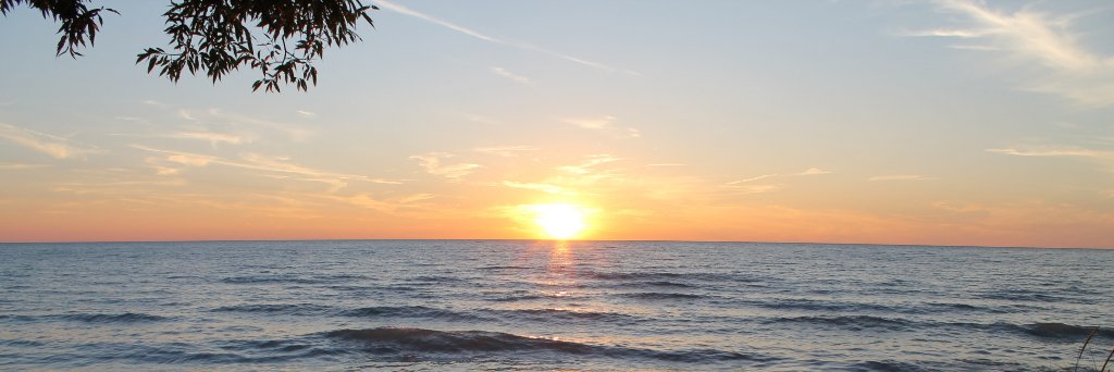 FAnderson19's profile banner image