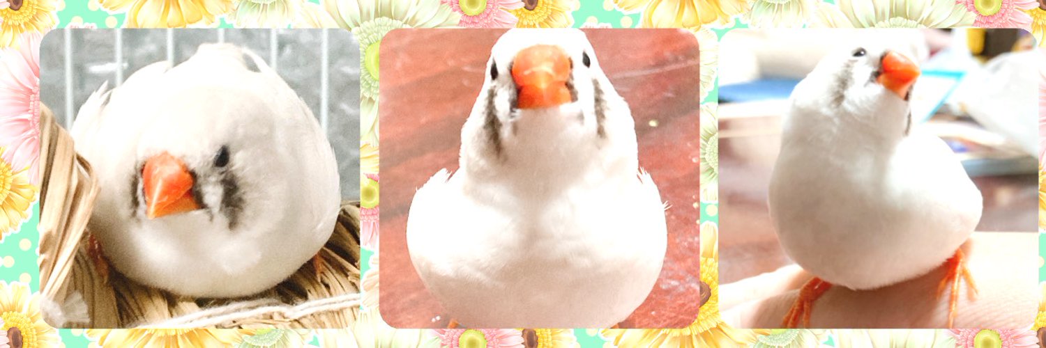 drr_83's profile banner image