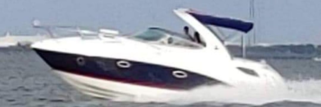 Scott Cook🇺🇸 banner