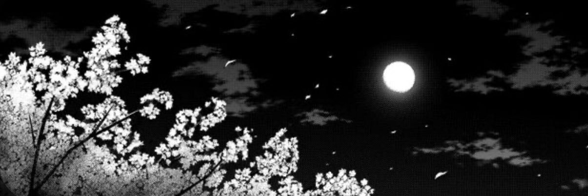 جـوهـرة✮⋆˙ banner