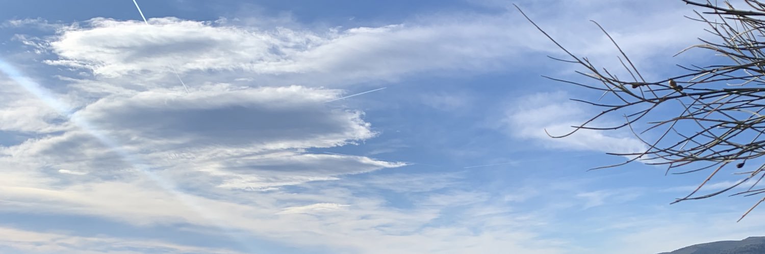 Callatelajota's profile banner image