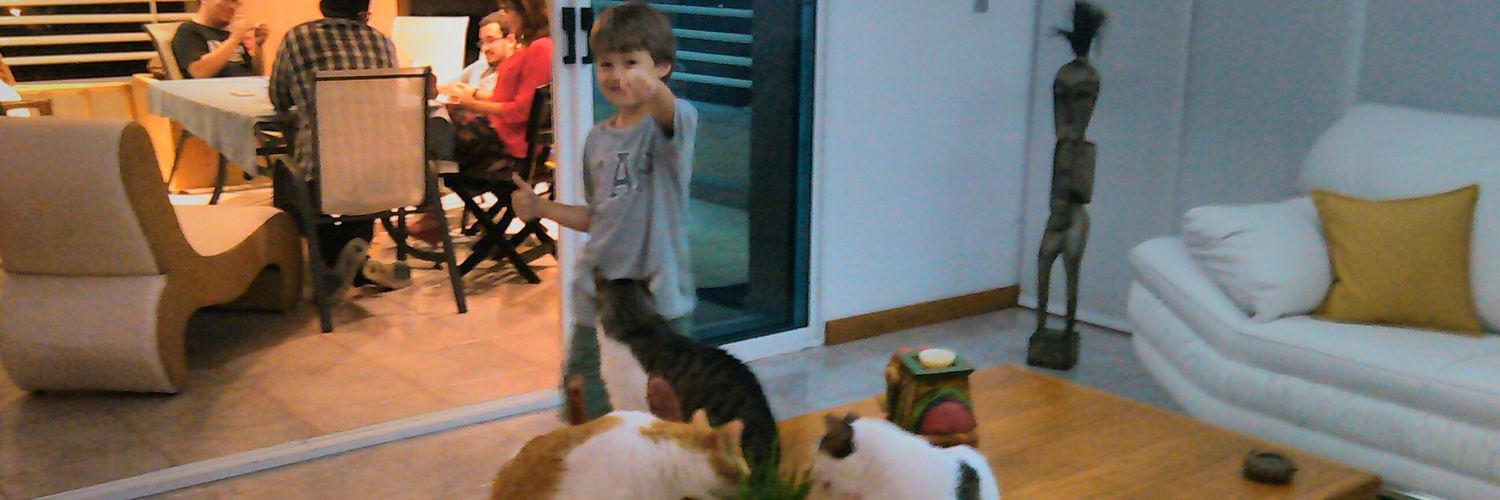 Misha_ll's profile banner image