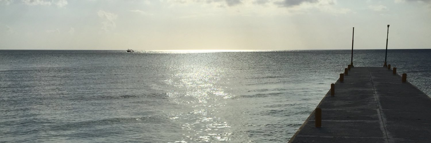 Marilyn Carmichael banner