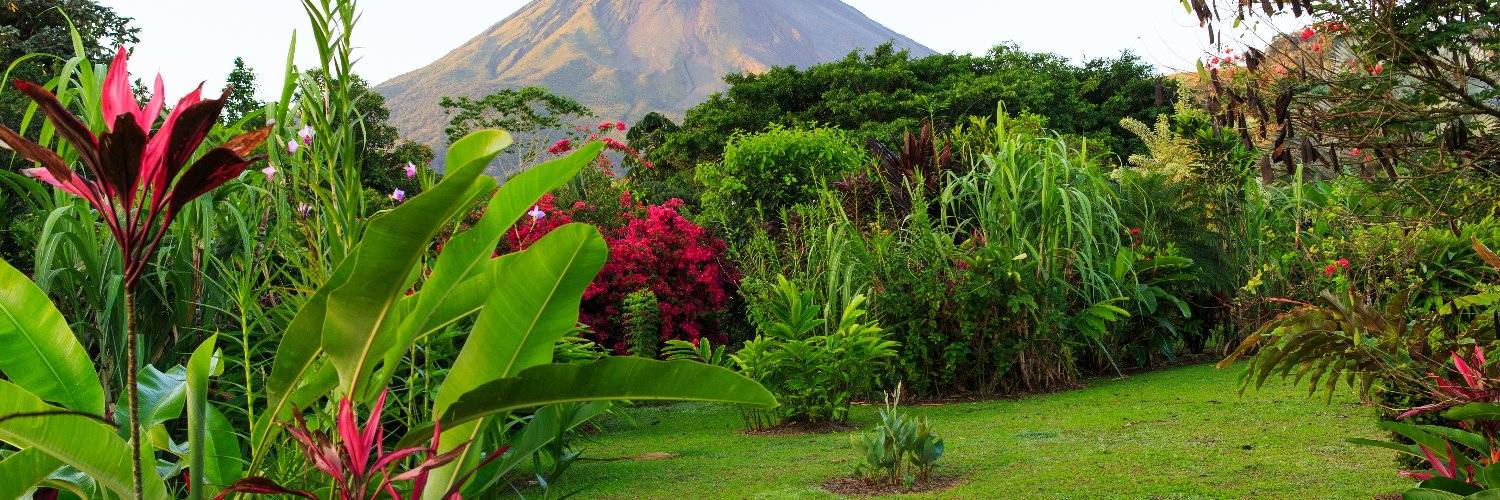 PawelEDi(🦄,🦄).base.eth banner