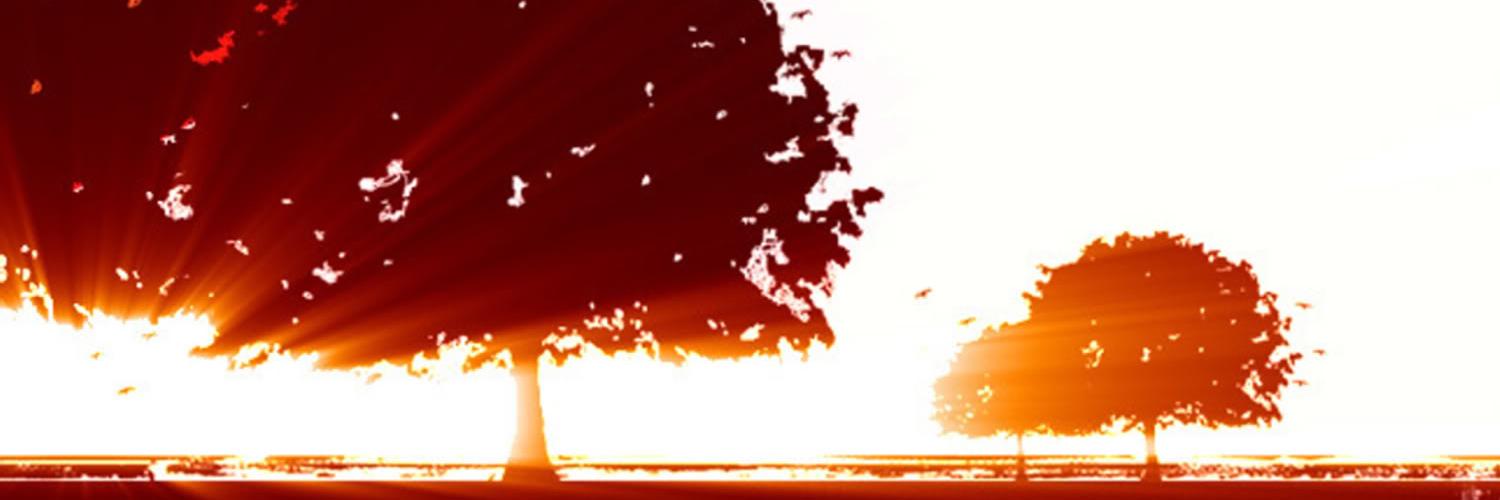 AgustinaVM5's profile banner image