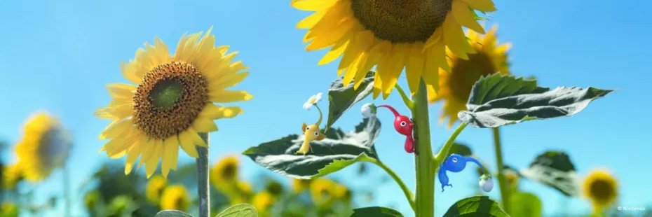 ❥┊ Akeideu ₊˚. banner