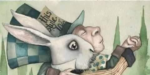 NaAliceWeber's profile banner image