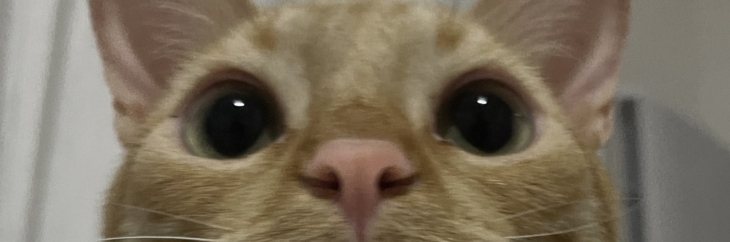 imademiau's profile banner image
