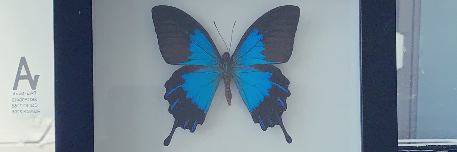 𝐳𝐞𝐫𝐨𝟖𝟎𝟖𝐰𝐨𝐫𝐤𝐬 𝐀𝐫𝐭 𝐀𝐫𝐜𝐡𝐢𝐯𝐞's banner
