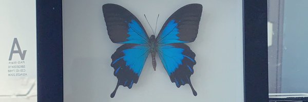 zero808works Profile Banner