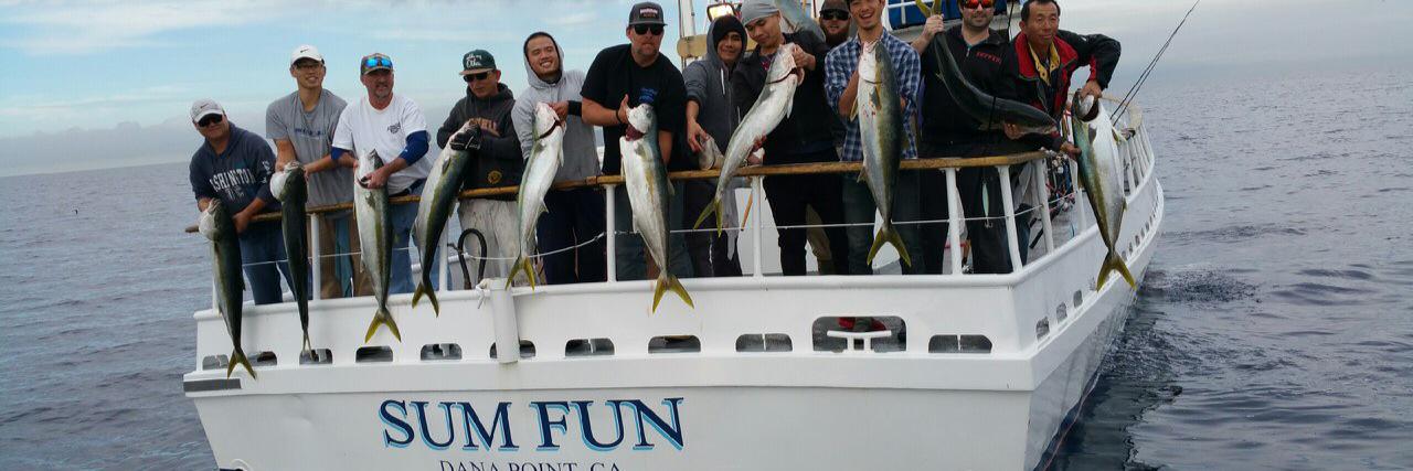 FishDanaWharf banner