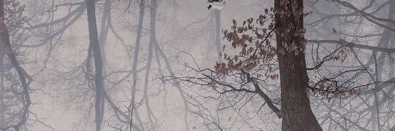 z3syx's profile banner image