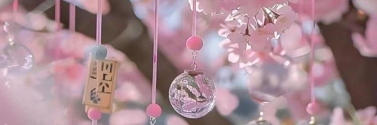fanny_bs's profile banner image