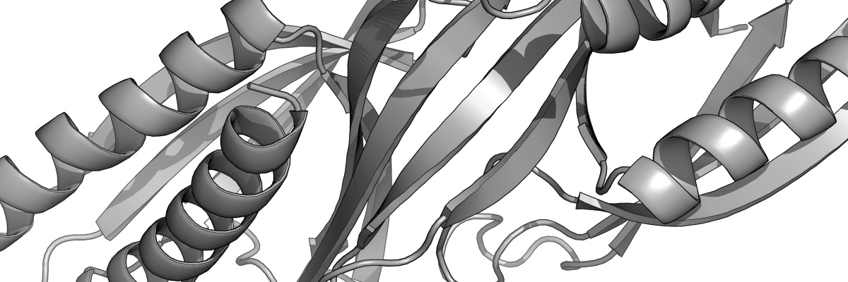 QueenslandProtein banner