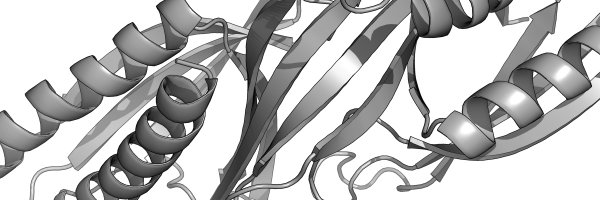 QueenslandProt1 Profile Banner