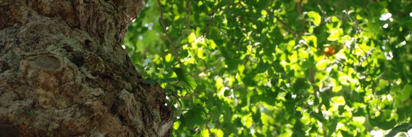 OliJWilson Profile Banner