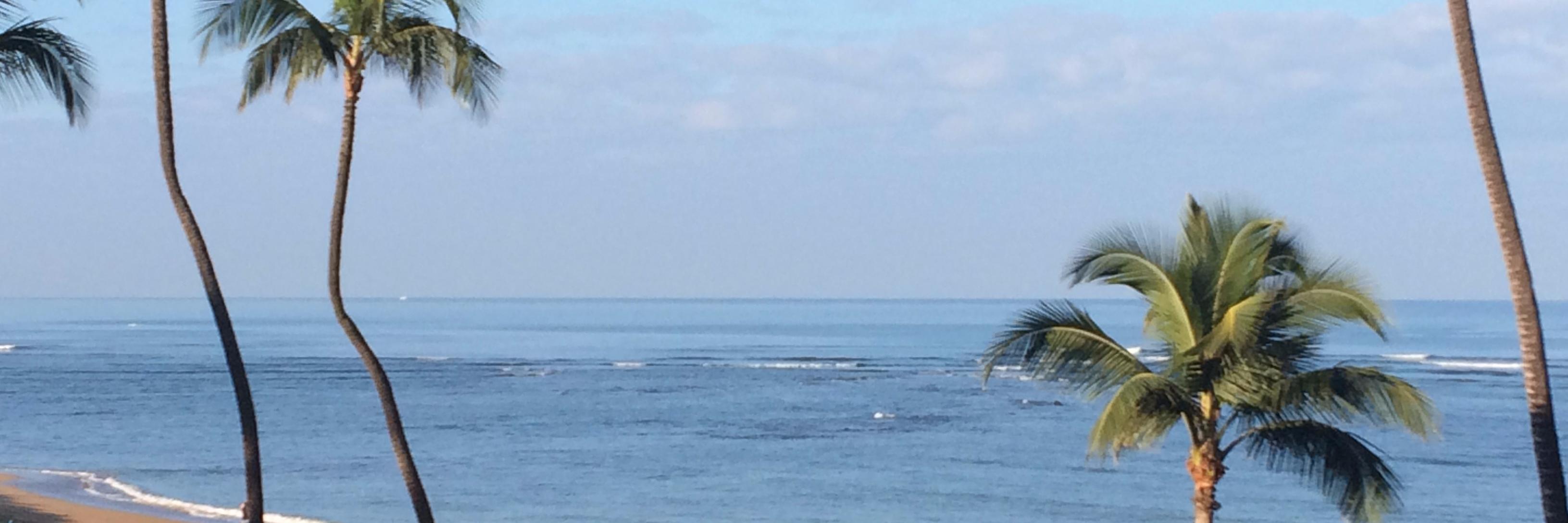 Jack Robinson banner