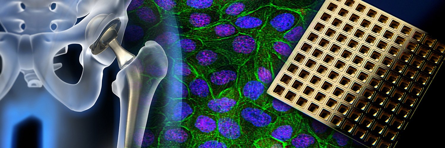 ScienceCheryl's profile banner image