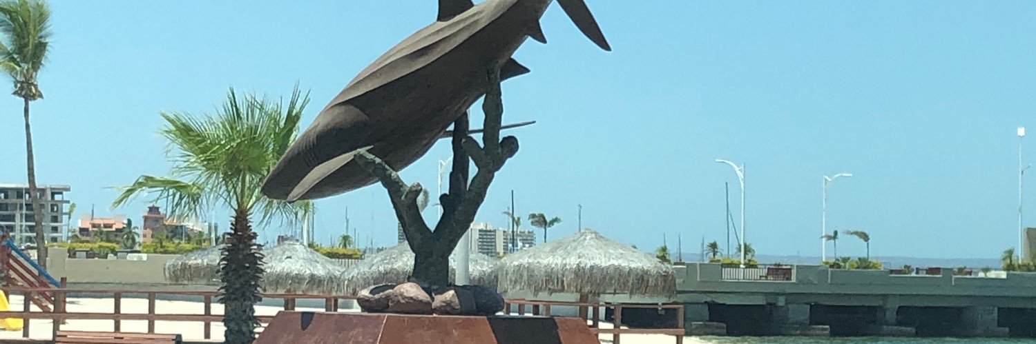 Roquirod2's profile banner image