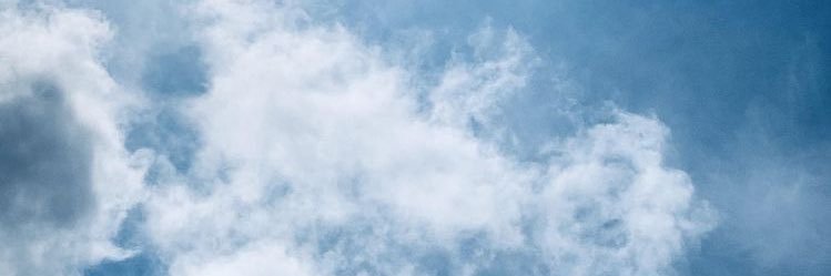 florspecht_'s profile banner image