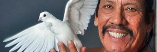 arrobaFrufru's profile banner image