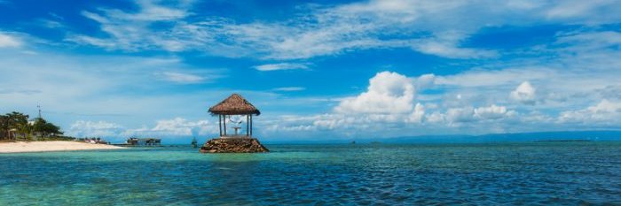 SHO＆M☆🎯 banner