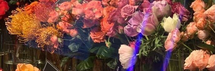 may ˚ ༘♡ banner