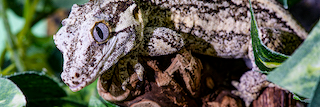 john_c_curtis's profile banner image